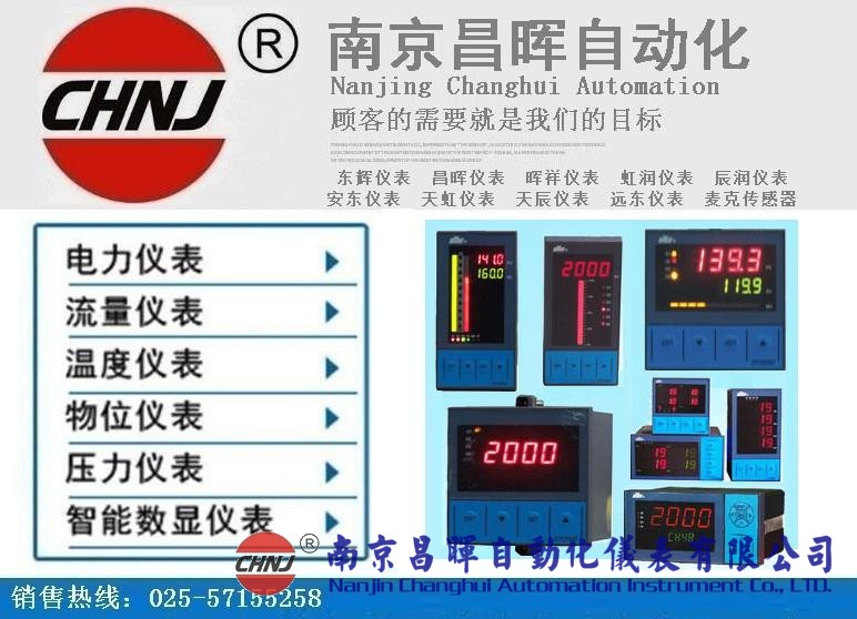 東輝儀表DY21D0008P4、DY21D1208、DY29D0208多通道巡檢儀