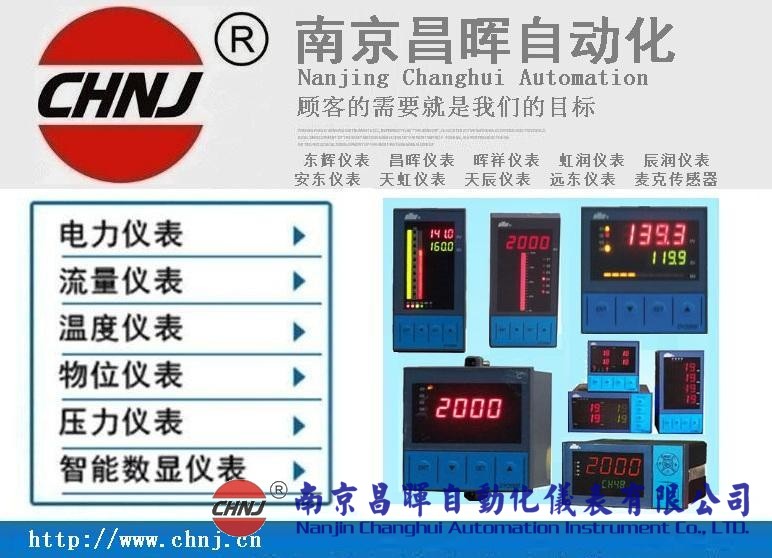 東輝儀表DY28T02、DY29T10P、DY22GT16P智能數(shù)字/光柱控制儀